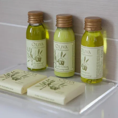 巴普迪斯丁酒店 3*