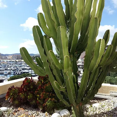 酒店 巴普迪斯丁酒店